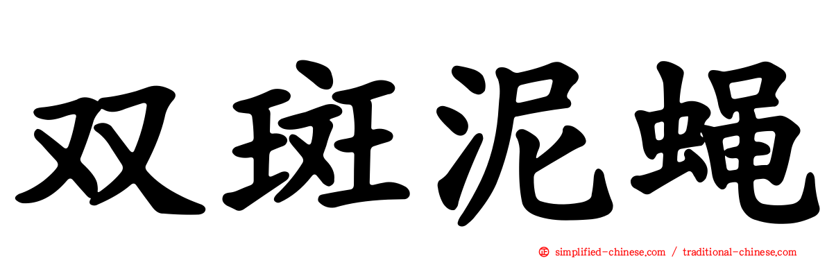 双斑泥蝇