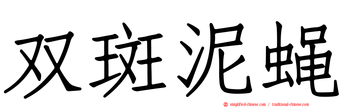 双斑泥蝇