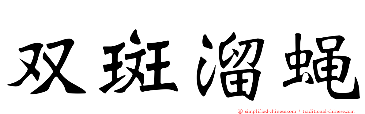 双斑溜蝇