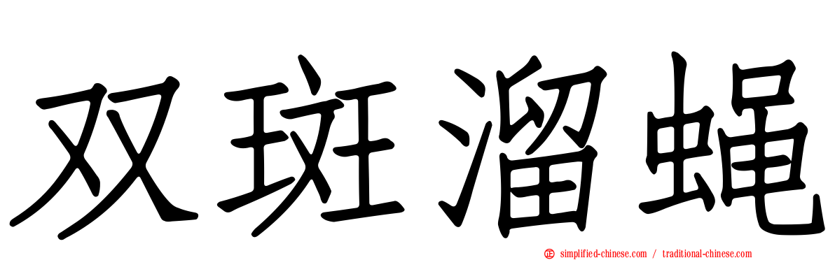 双斑溜蝇