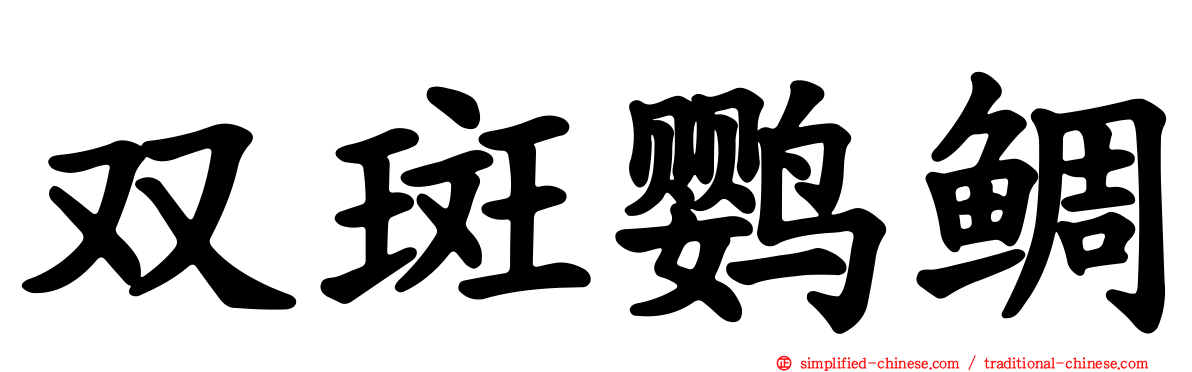 双斑鹦鲷