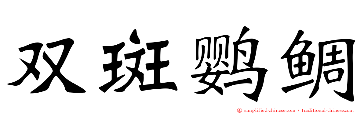 双斑鹦鲷