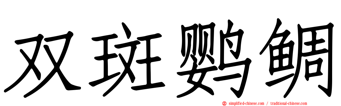 双斑鹦鲷