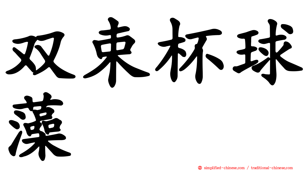 双束杯球藻