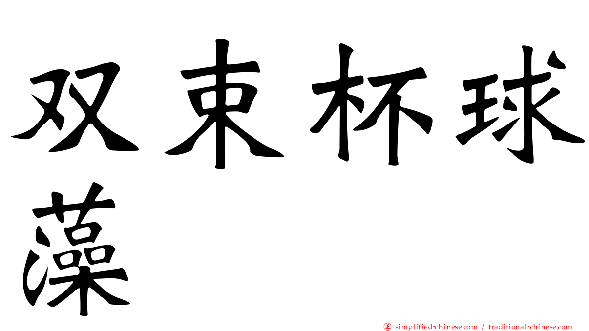 双束杯球藻