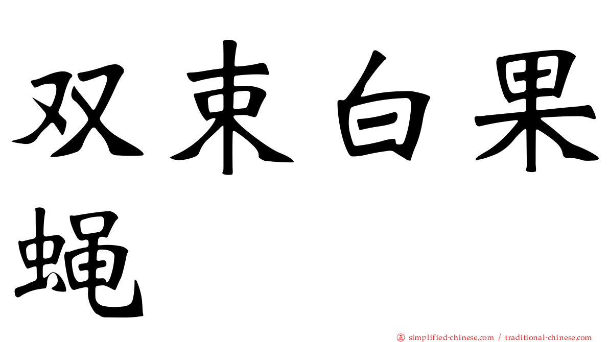 双束白果蝇