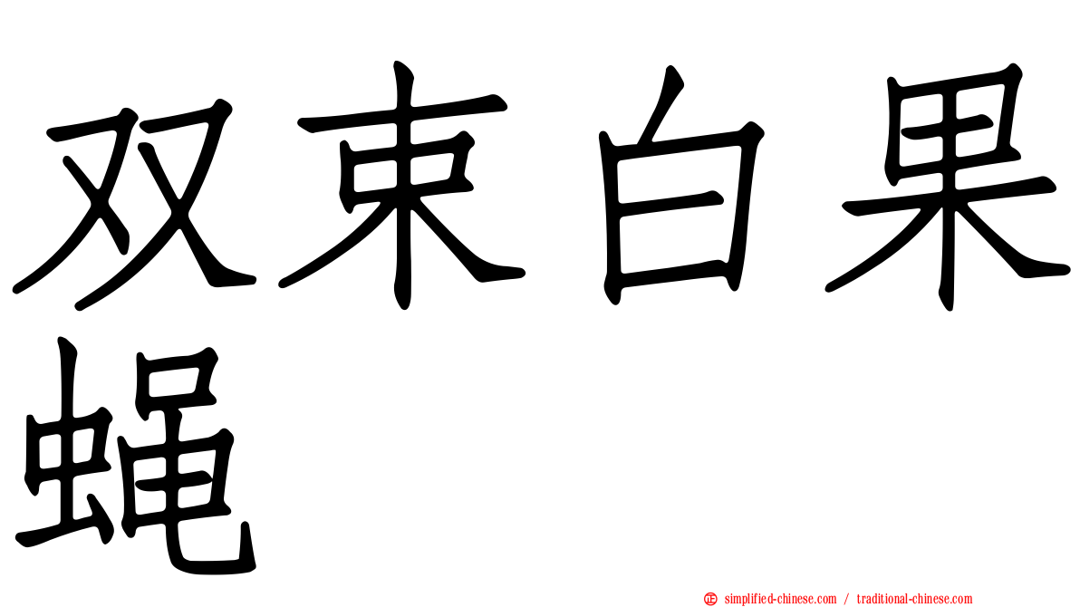 双束白果蝇