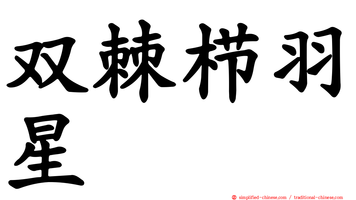 双棘栉羽星