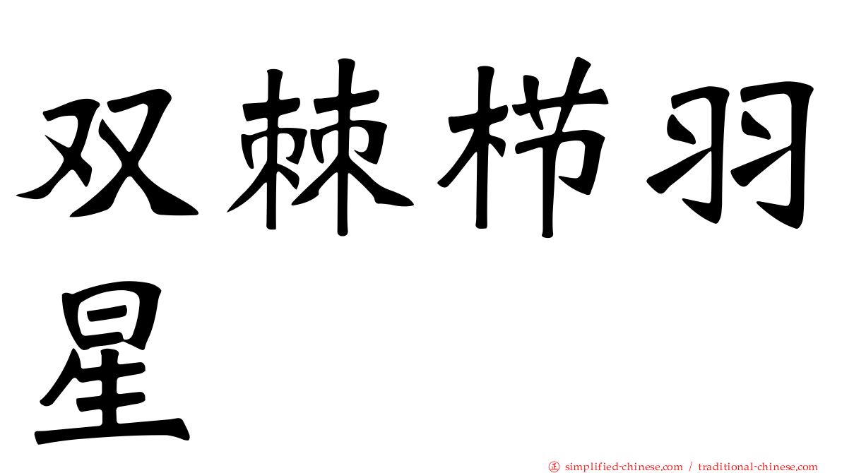 双棘栉羽星