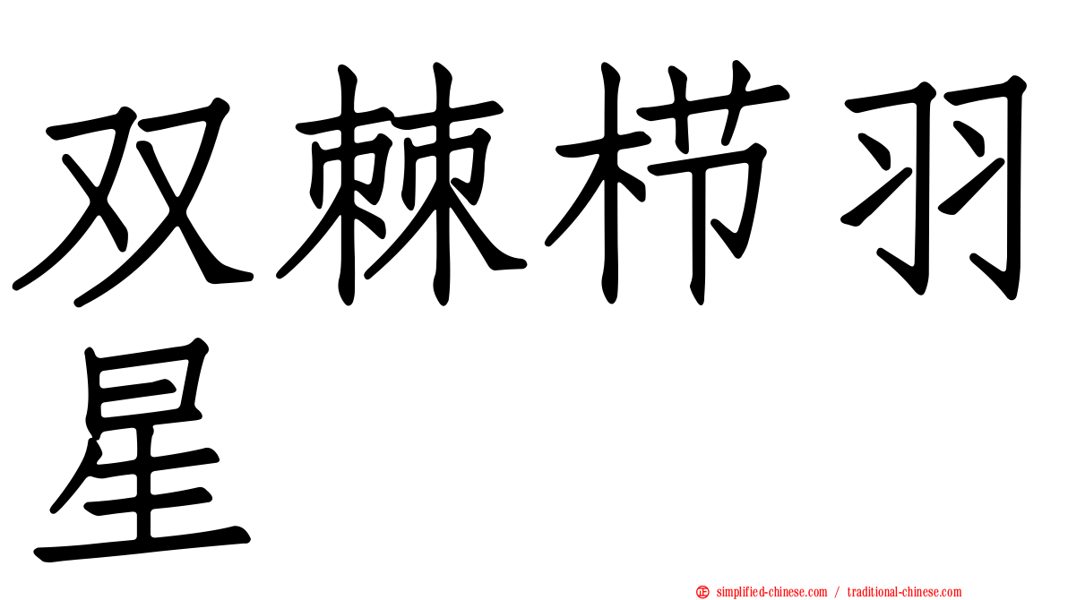 双棘栉羽星