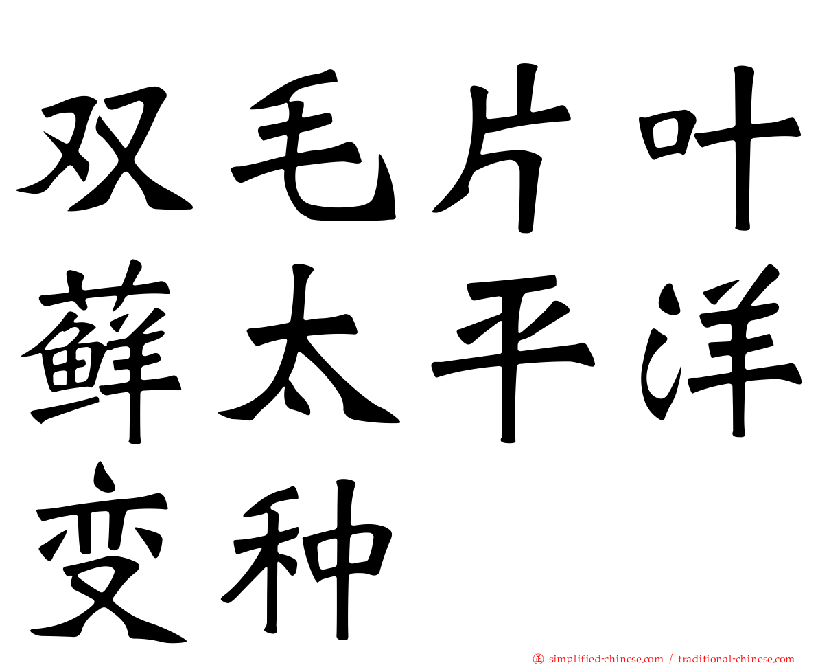 双毛片叶藓太平洋变种