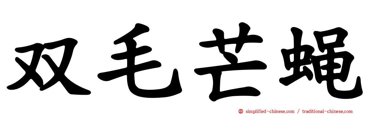 双毛芒蝇