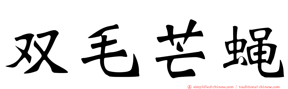 双毛芒蝇