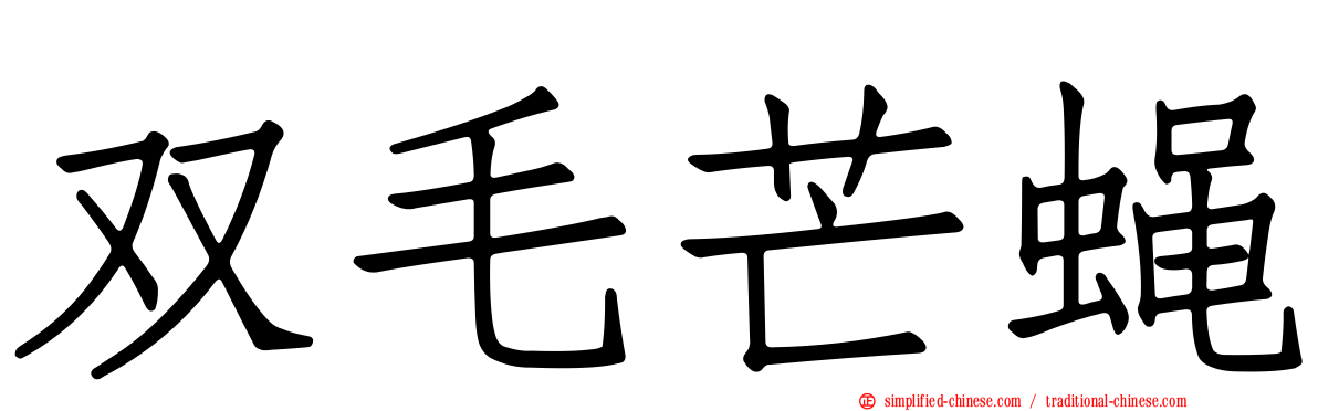 双毛芒蝇