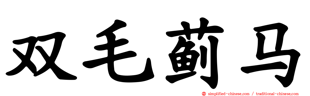 双毛蓟马
