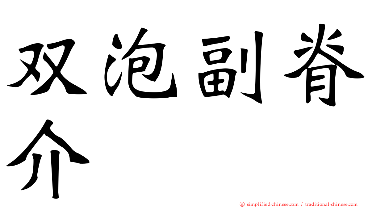 双泡副脊介