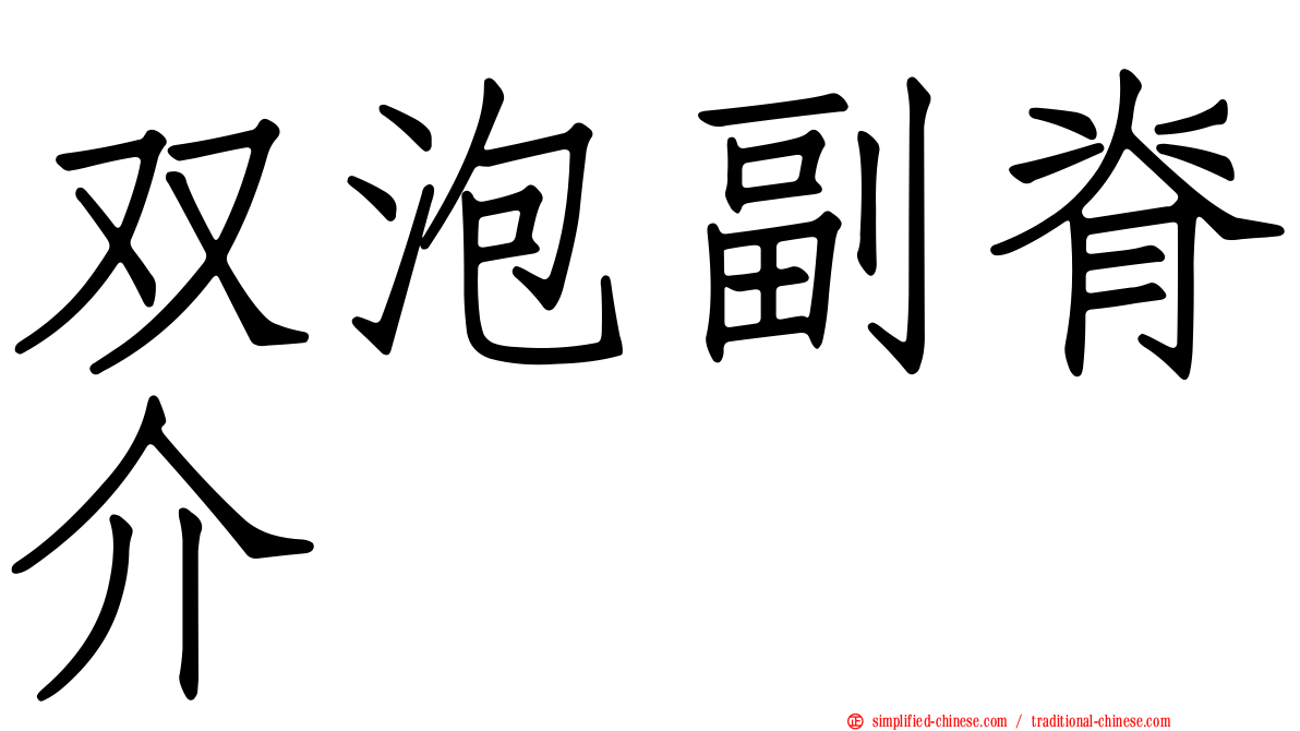 双泡副脊介