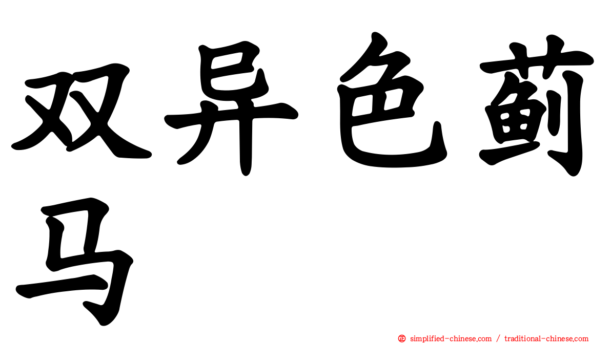 双异色蓟马