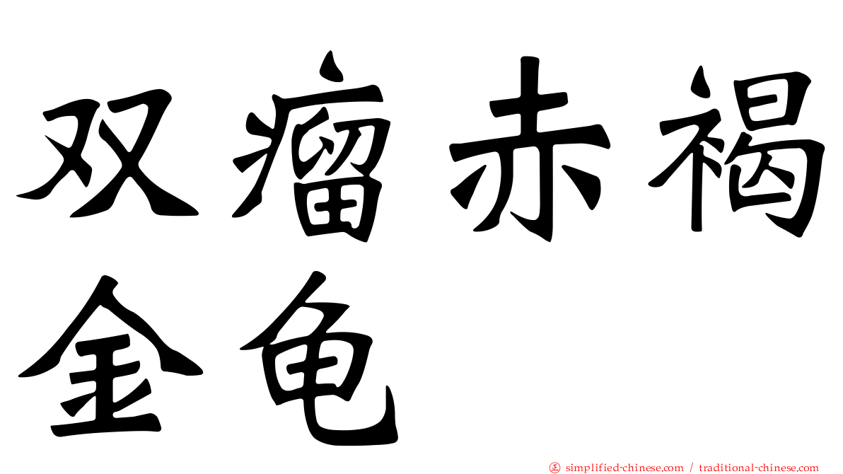 双瘤赤褐金龟