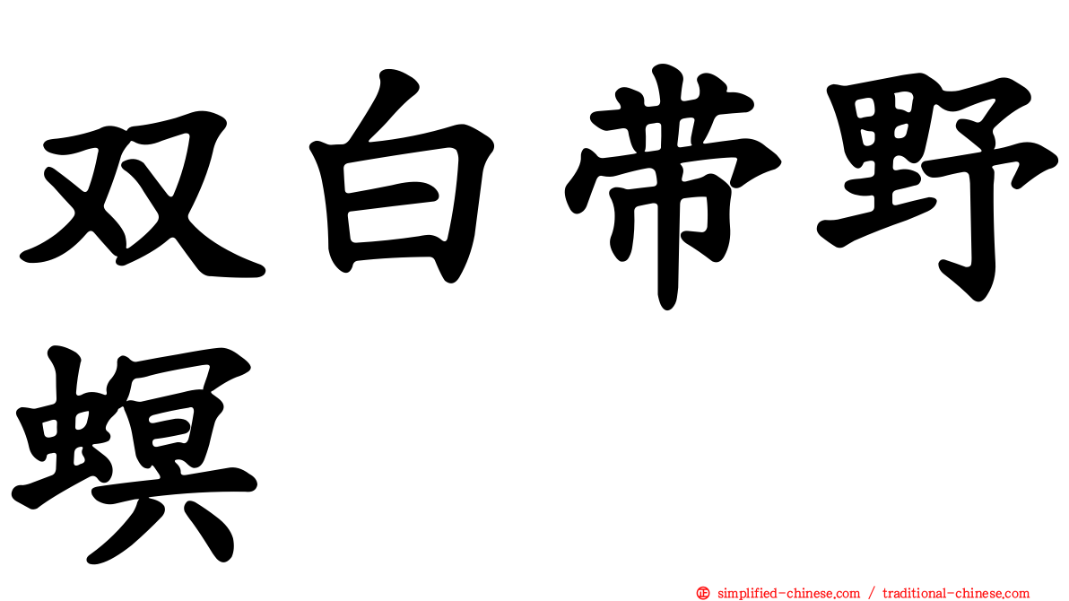 双白带野螟