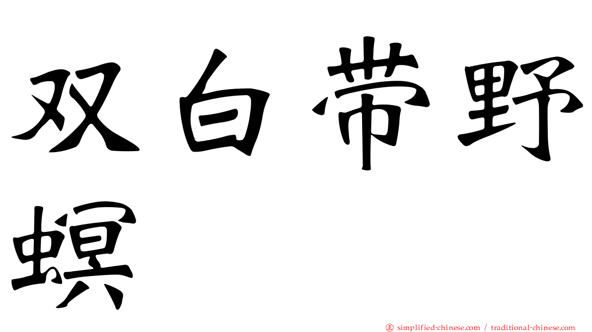 双白带野螟