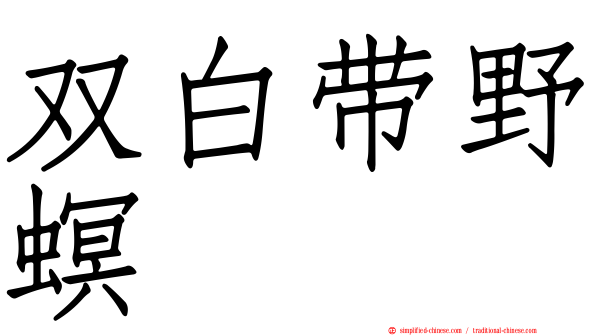 双白带野螟