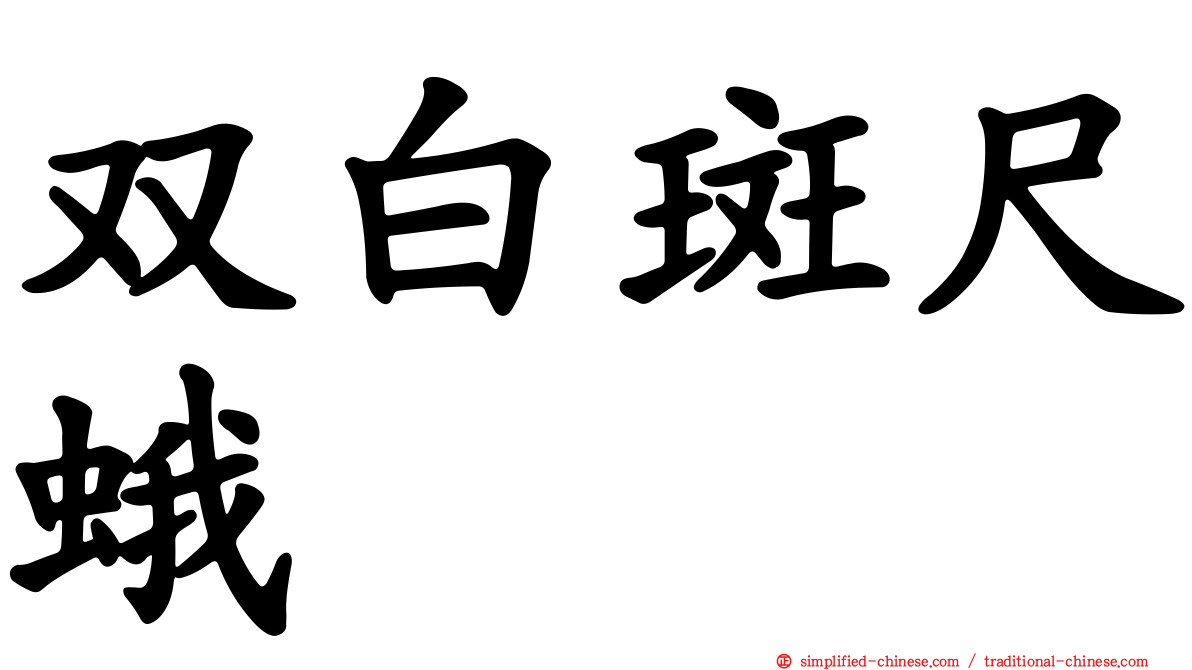 双白斑尺蛾