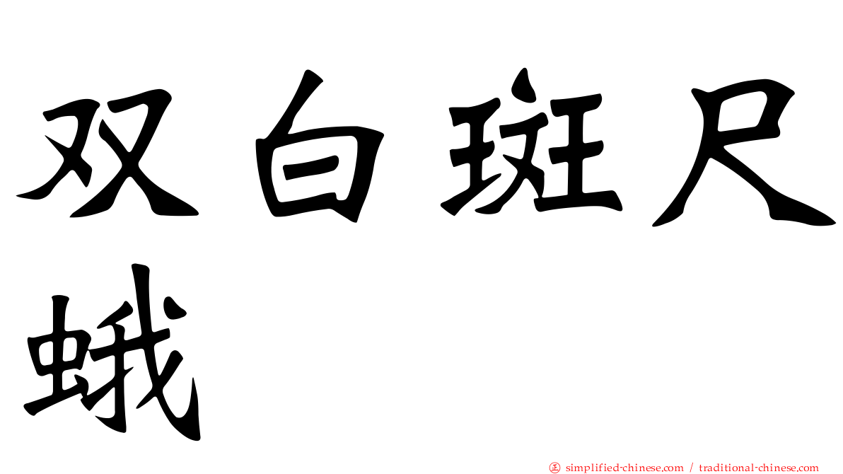 双白斑尺蛾