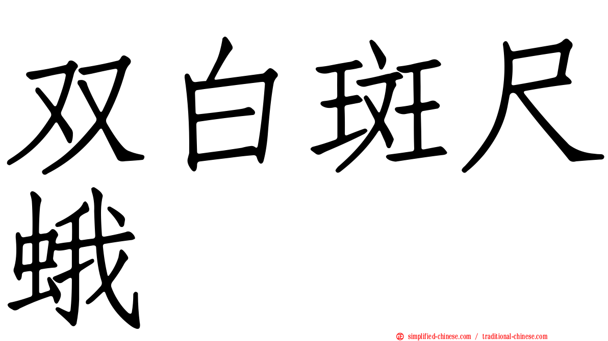 双白斑尺蛾