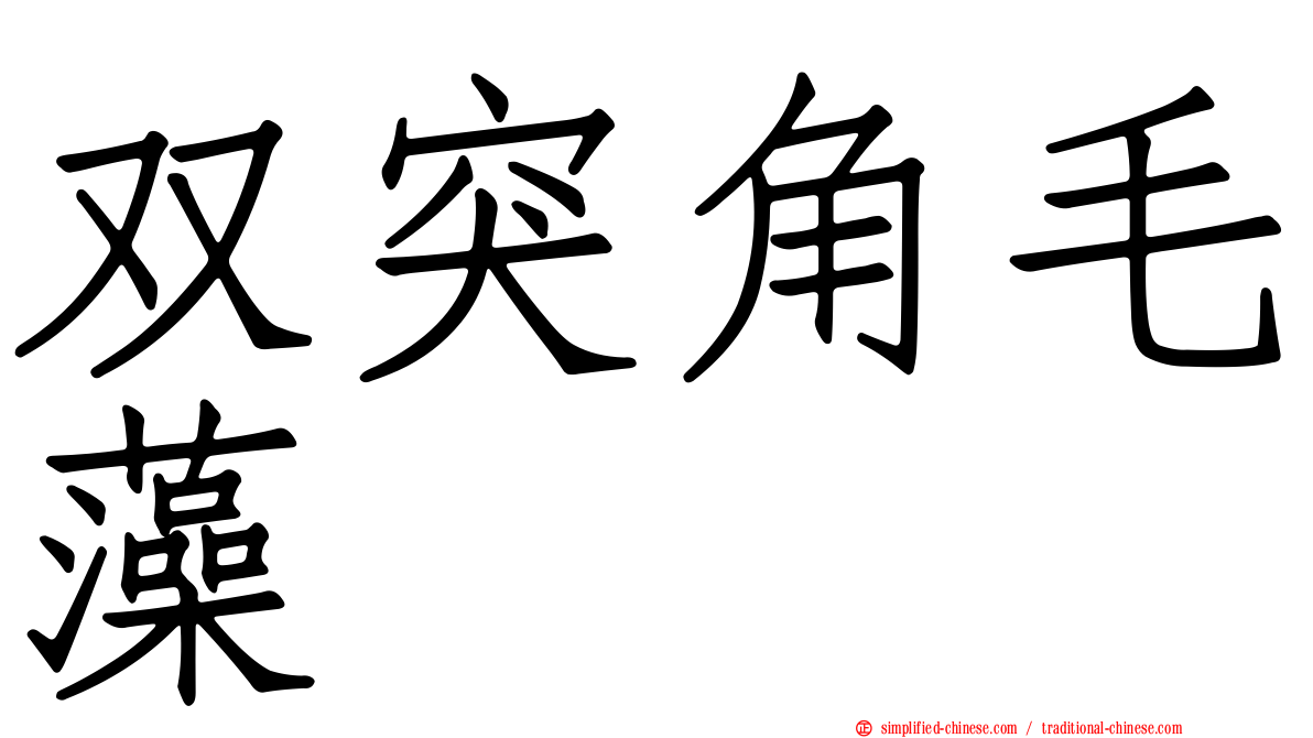 双突角毛藻