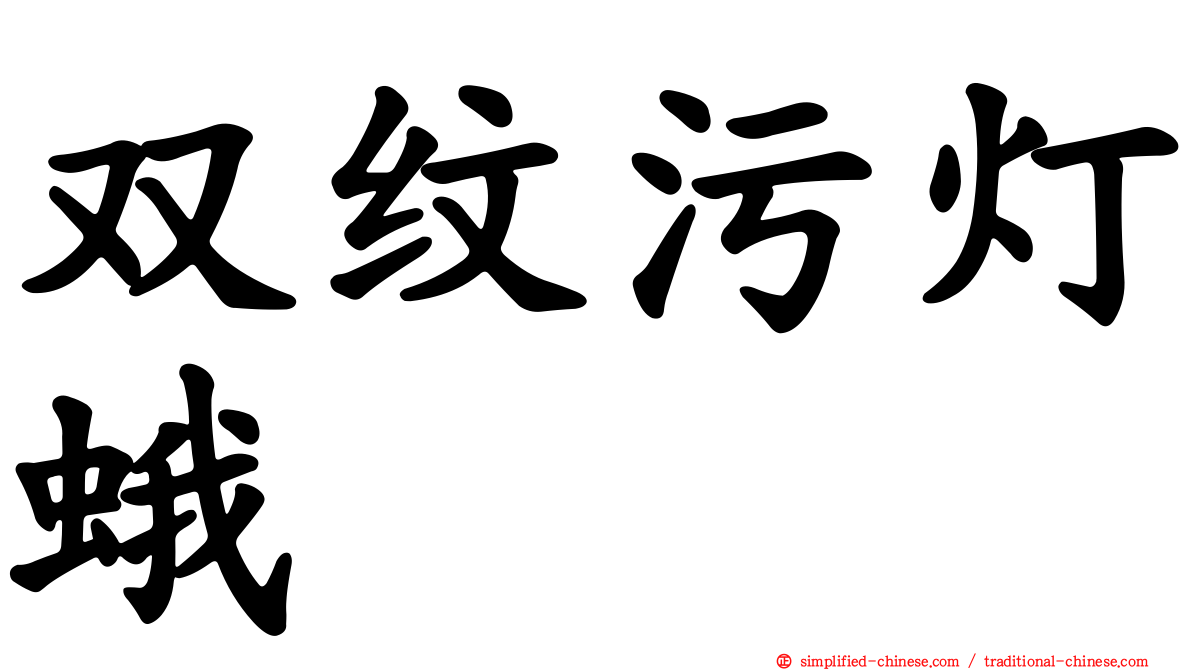 双纹污灯蛾