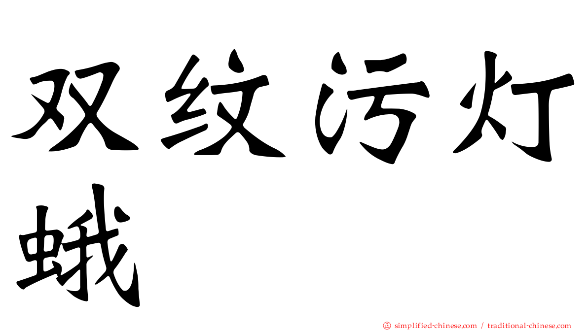 双纹污灯蛾