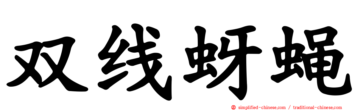 双线蚜蝇