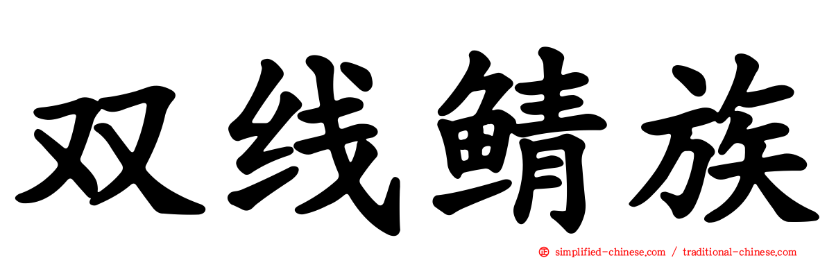 双线鲭族