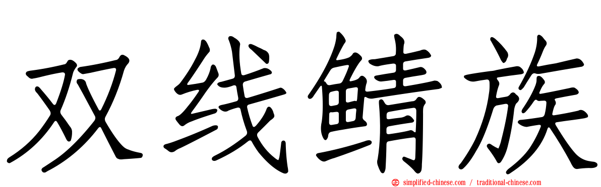 双线鲭族