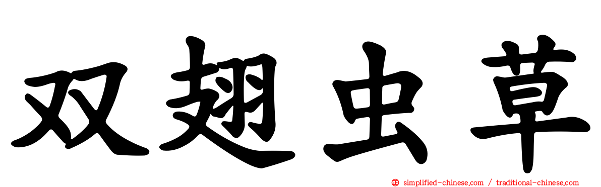 双翅虫草
