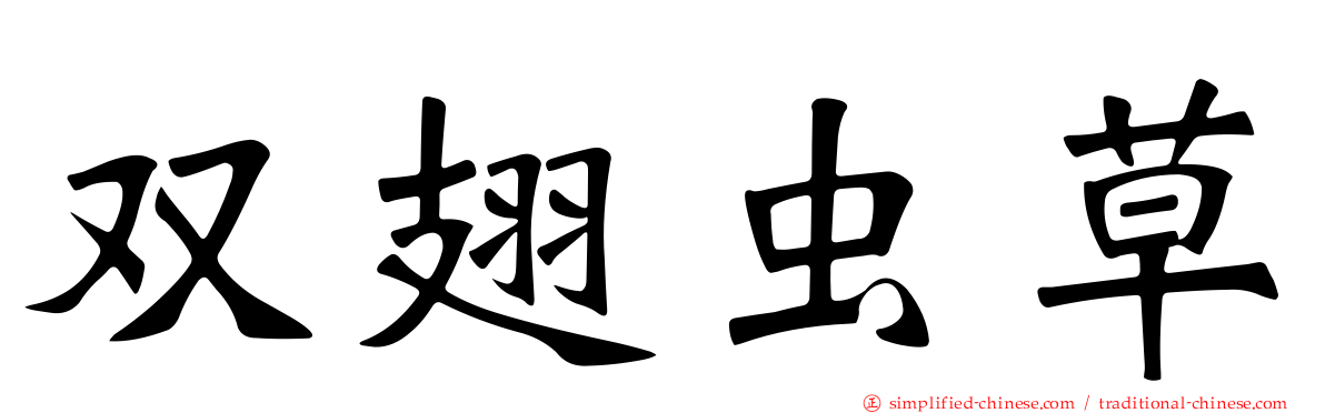 双翅虫草