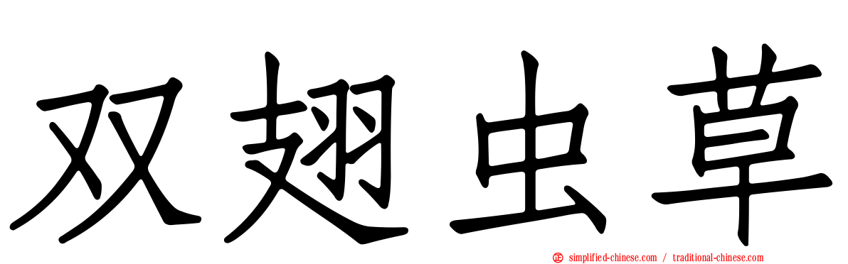 双翅虫草