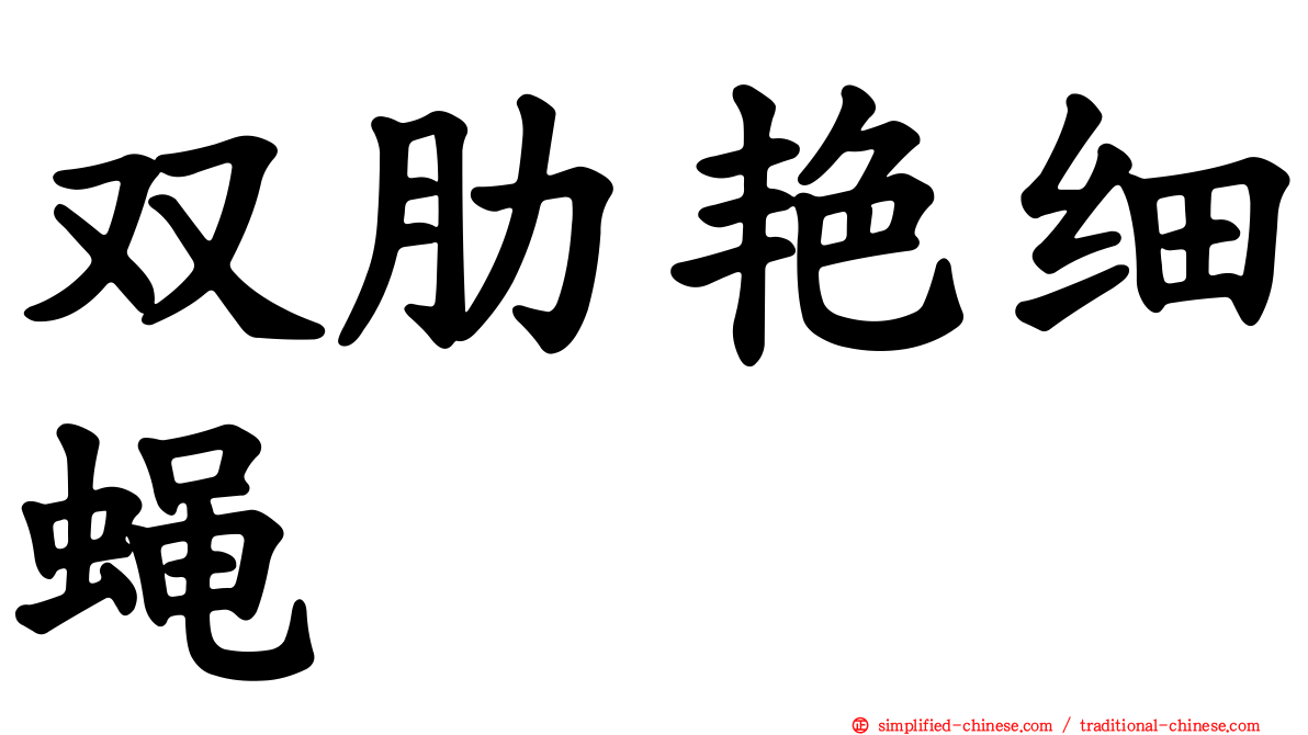 双肋艳细蝇