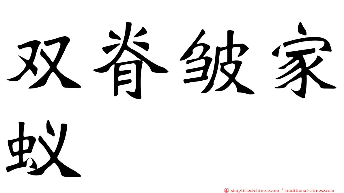 双脊皱家蚁