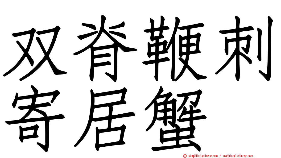 双脊鞭刺寄居蟹