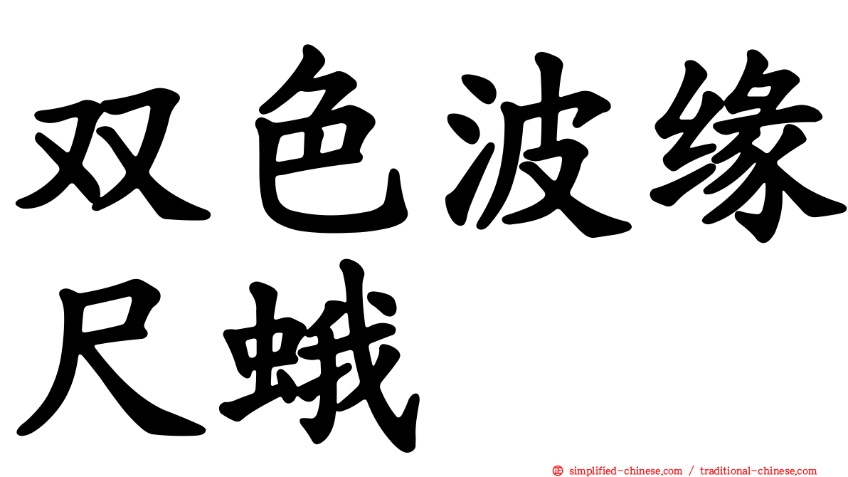 双色波缘尺蛾