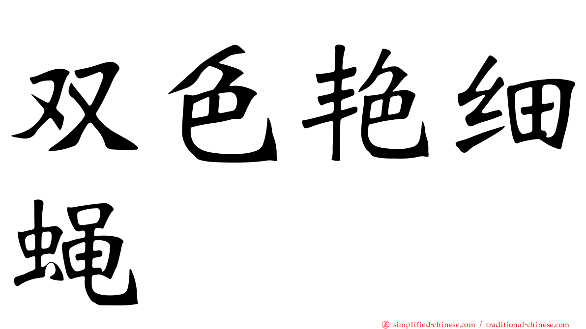 双色艳细蝇