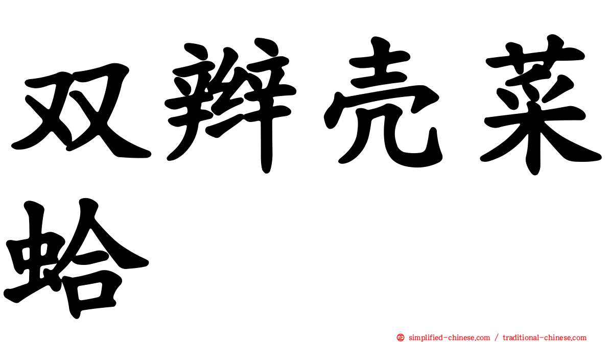双辫壳菜蛤