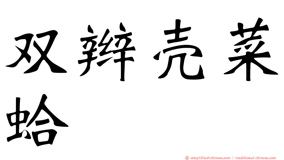 双辫壳菜蛤