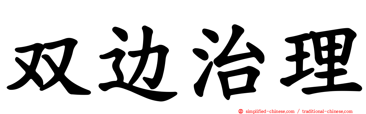 双边治理