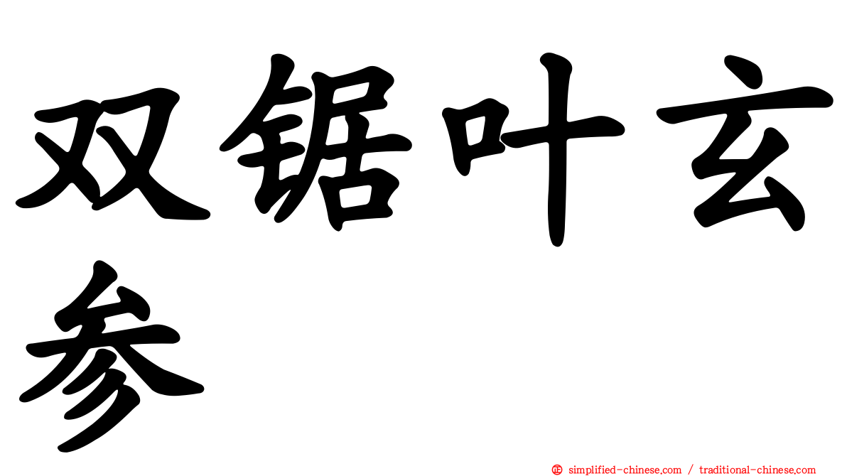 双锯叶玄参