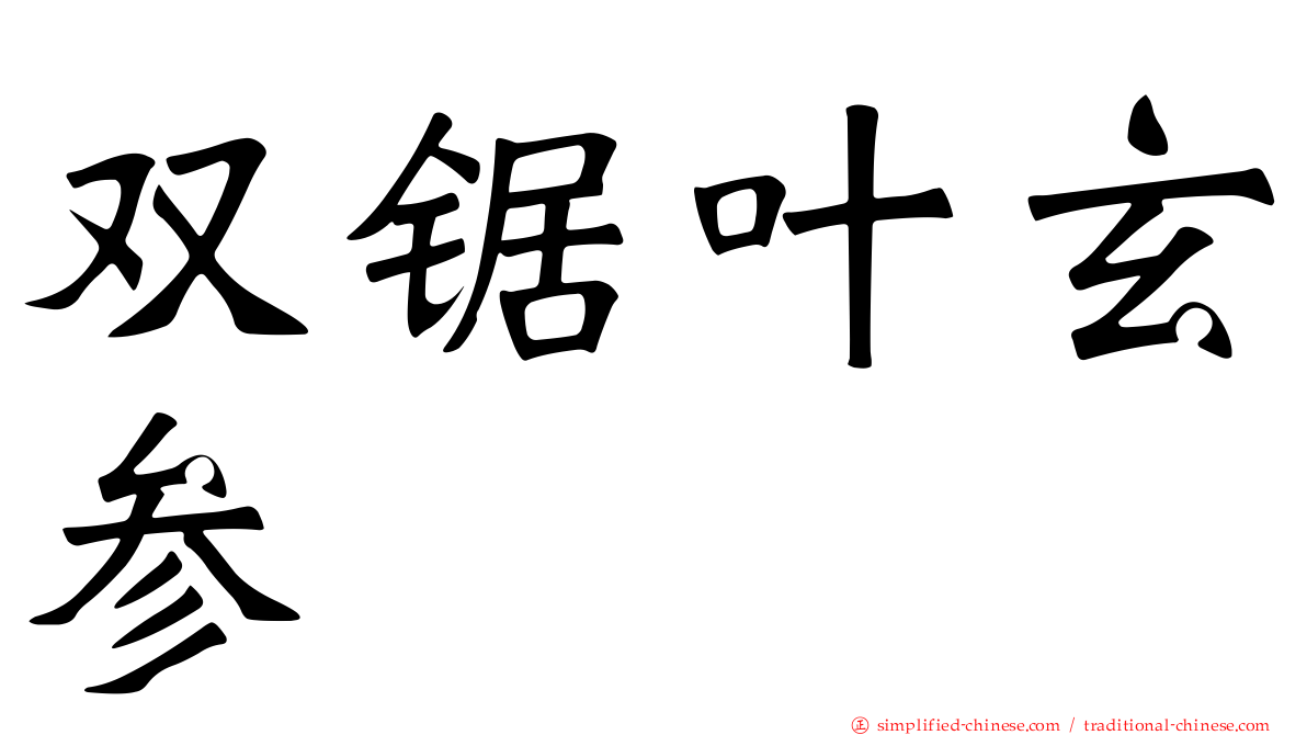 双锯叶玄参