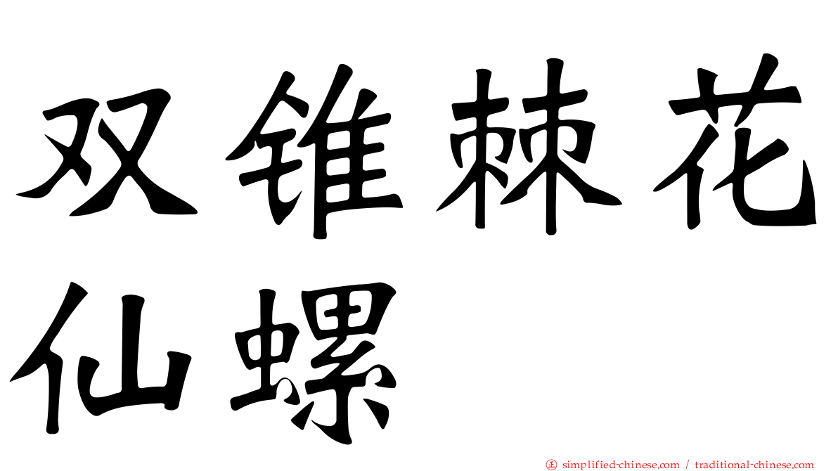 双锥棘花仙螺