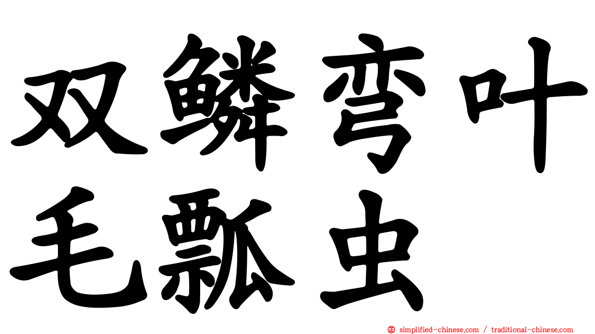 双鳞弯叶毛瓢虫
